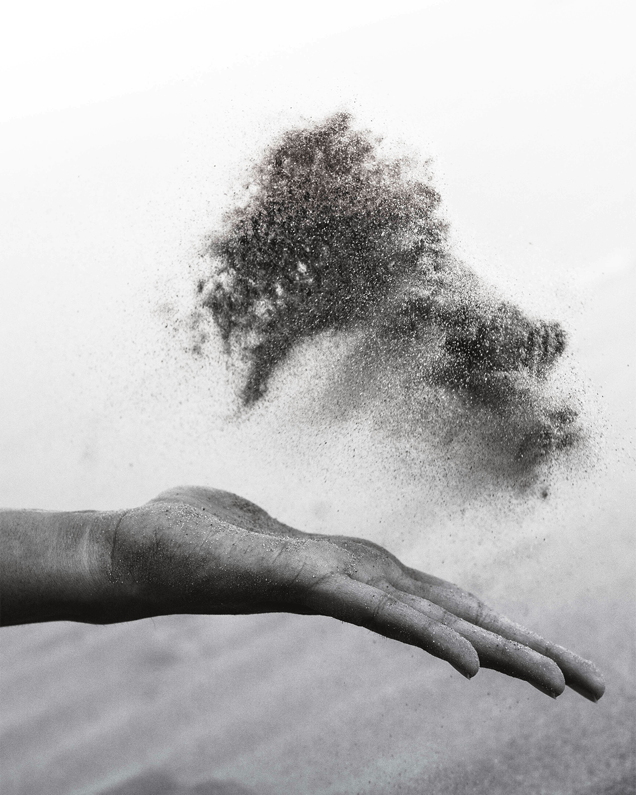 Tips and Tricks to Get Rid of Dust Mites from Home