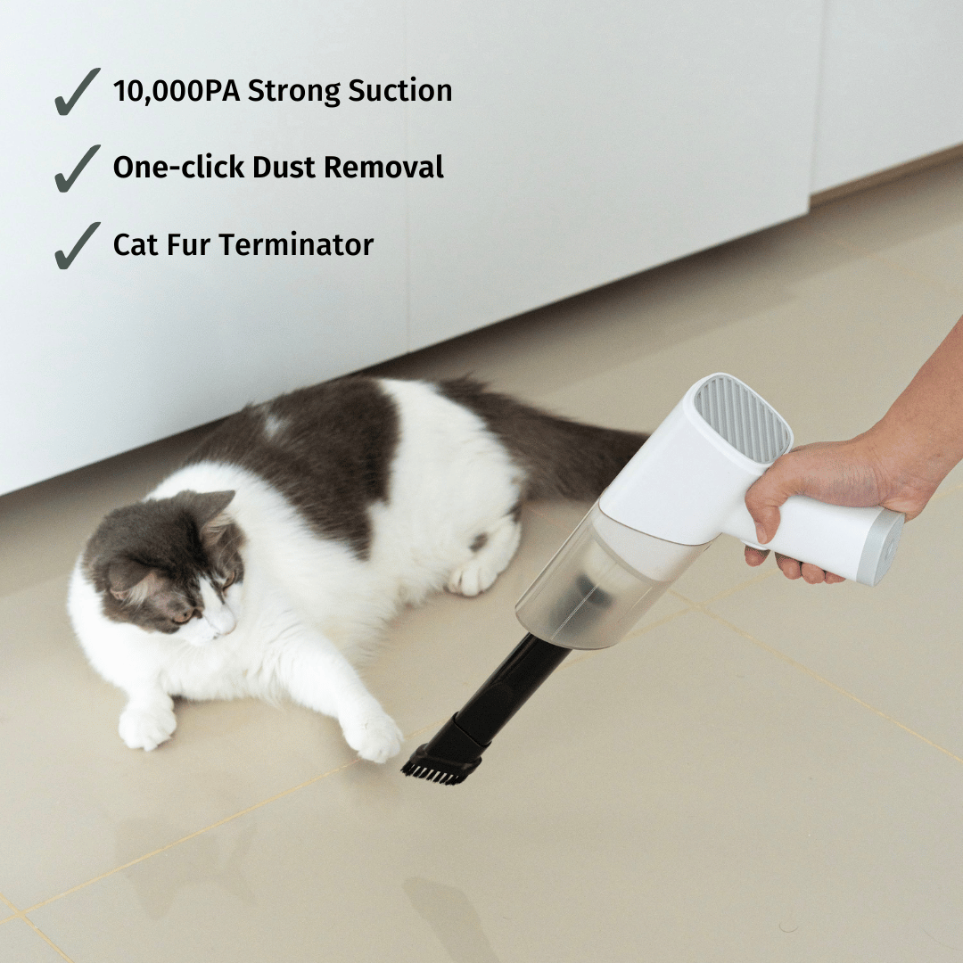 Homi EasyClean Vacuum 2