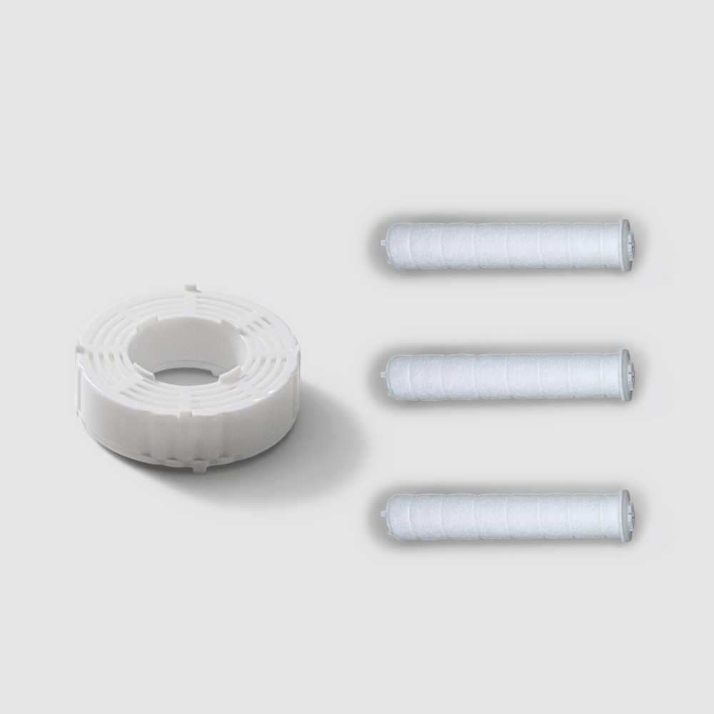 Cleanse Shower Head 1 Dual Filter Kit