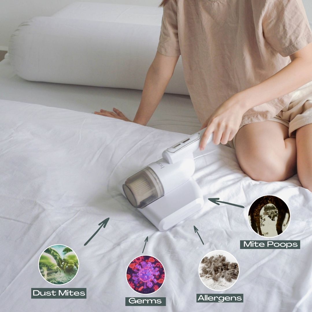 Bed vacuum discount